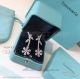 AAA Replica Tiffany And Co Paper Flowers Diamond Earrings - 925 Silver (5)_th.jpg